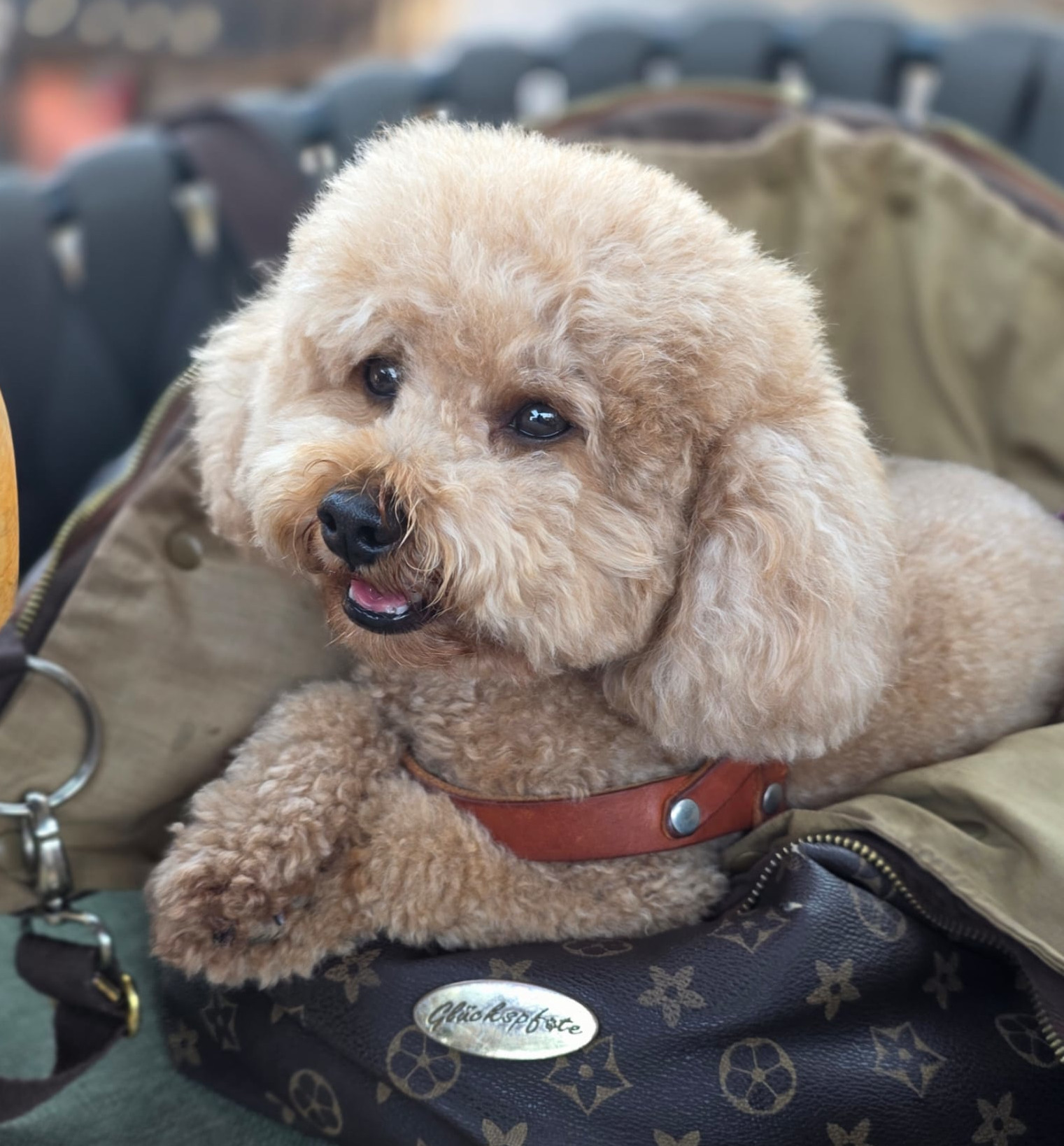 Paco